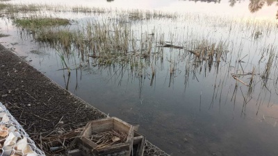 Уровень реки Сатиса - 1.jpg